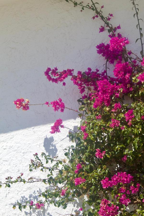 Luxury B&B Villa Tauro La Cala De Mijas Exterior foto