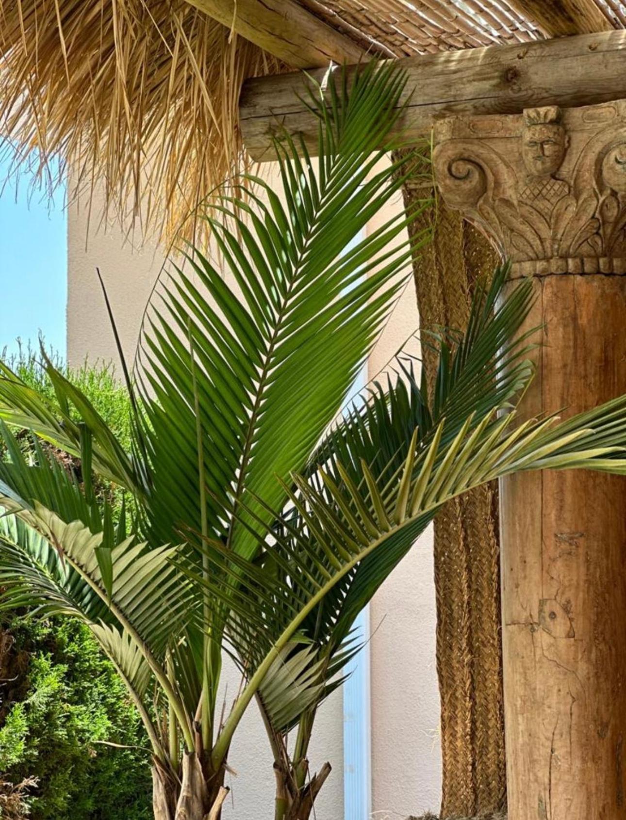 Luxury B&B Villa Tauro La Cala De Mijas Exterior foto